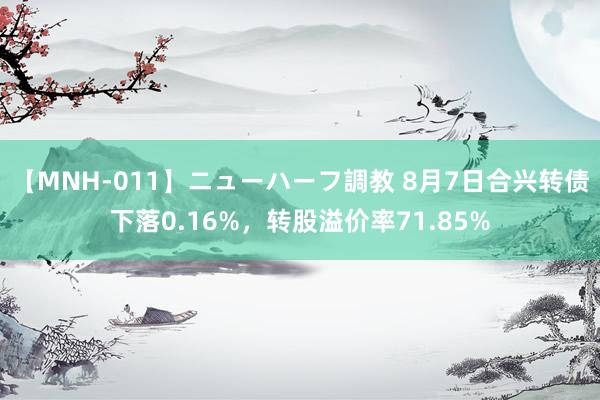 【MNH-011】ニューハーフ調教 8月7日合兴转债下落0.16%，转股溢价率71.85%
