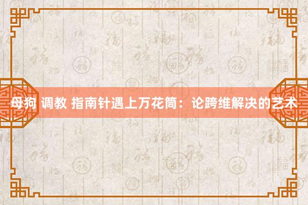 母狗 调教 指南针遇上万花筒：论跨维解决的艺术