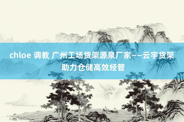 chloe 调教 广州工场货架源泉厂家——云宇货架 助力仓储高效经管
