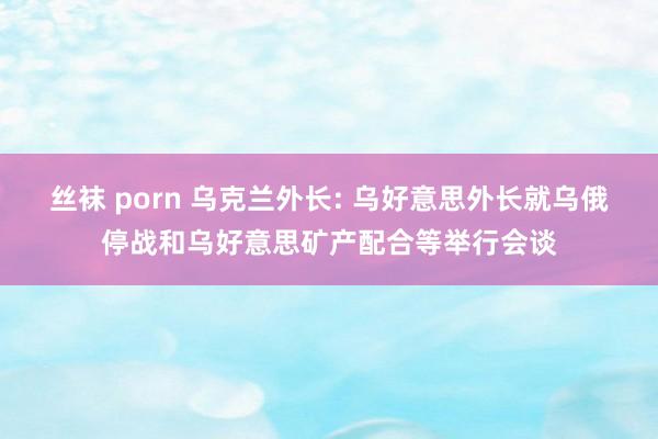 丝袜 porn 乌克兰外长: 乌好意思外长就乌俄停战和乌好意思矿产配合等举行会谈