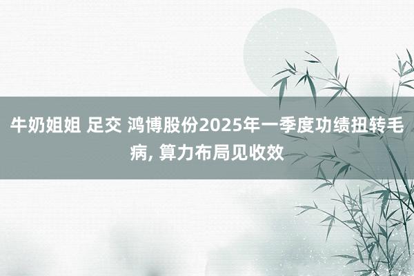 牛奶姐姐 足交 鸿博股份2025年一季度功绩扭转毛病, 算力布局见收效