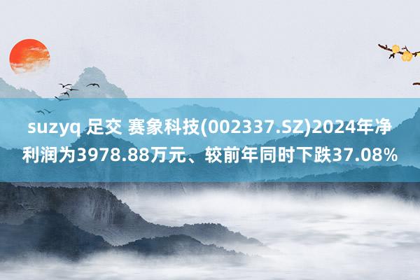suzyq 足交 赛象科技(002337.SZ)2024年净利润为3978.88万元、较前年同时下跌37.08%