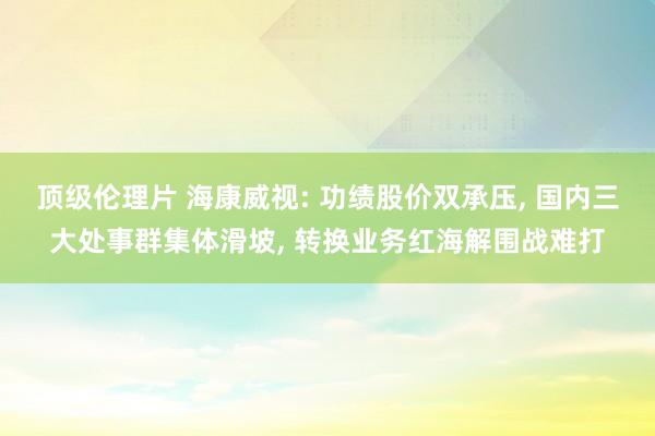 顶级伦理片 海康威视: 功绩股价双承压, 国内三大处事群集体滑坡, 转换业务红海解围战难打