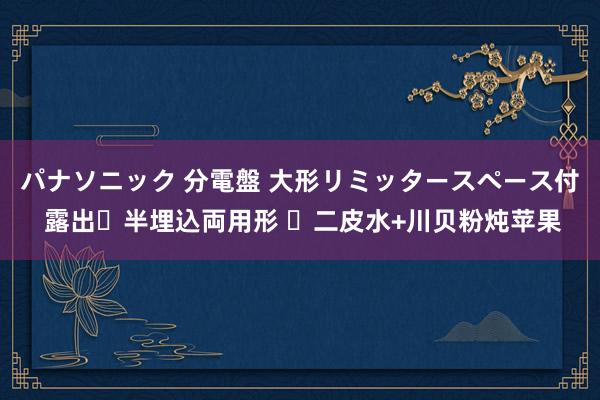 パナソニック 分電盤 大形リミッタースペース付 露出・半埋込両用形 二皮水+川贝粉炖苹果