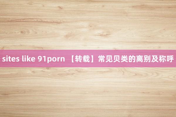 sites like 91porn 【转载】常见贝类的离别及称呼
