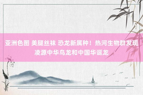 亚洲色图 美腿丝袜 恐龙新属种！热河生物群发现凌源中华鸟龙和中国华诞龙